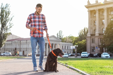 Photo of Owner walking his brown labrador retriever outdoors