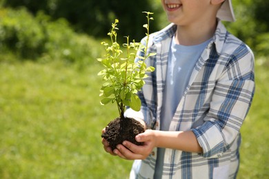 Photo of Child holding soil with young green tree outdoors, closeup