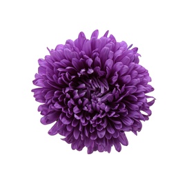 Photo of Beautiful purple aster isolated on white, top view.  Autumn flower