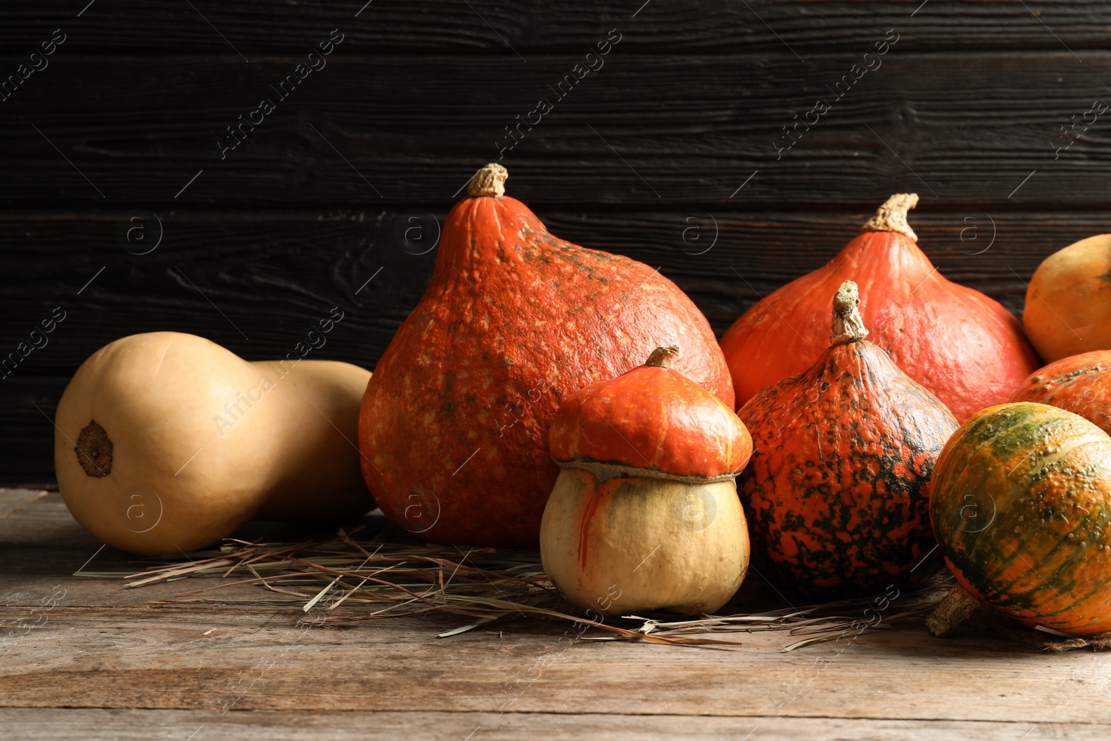 Photo of Different pumpkins on table against wooden wall. Autumn holidays