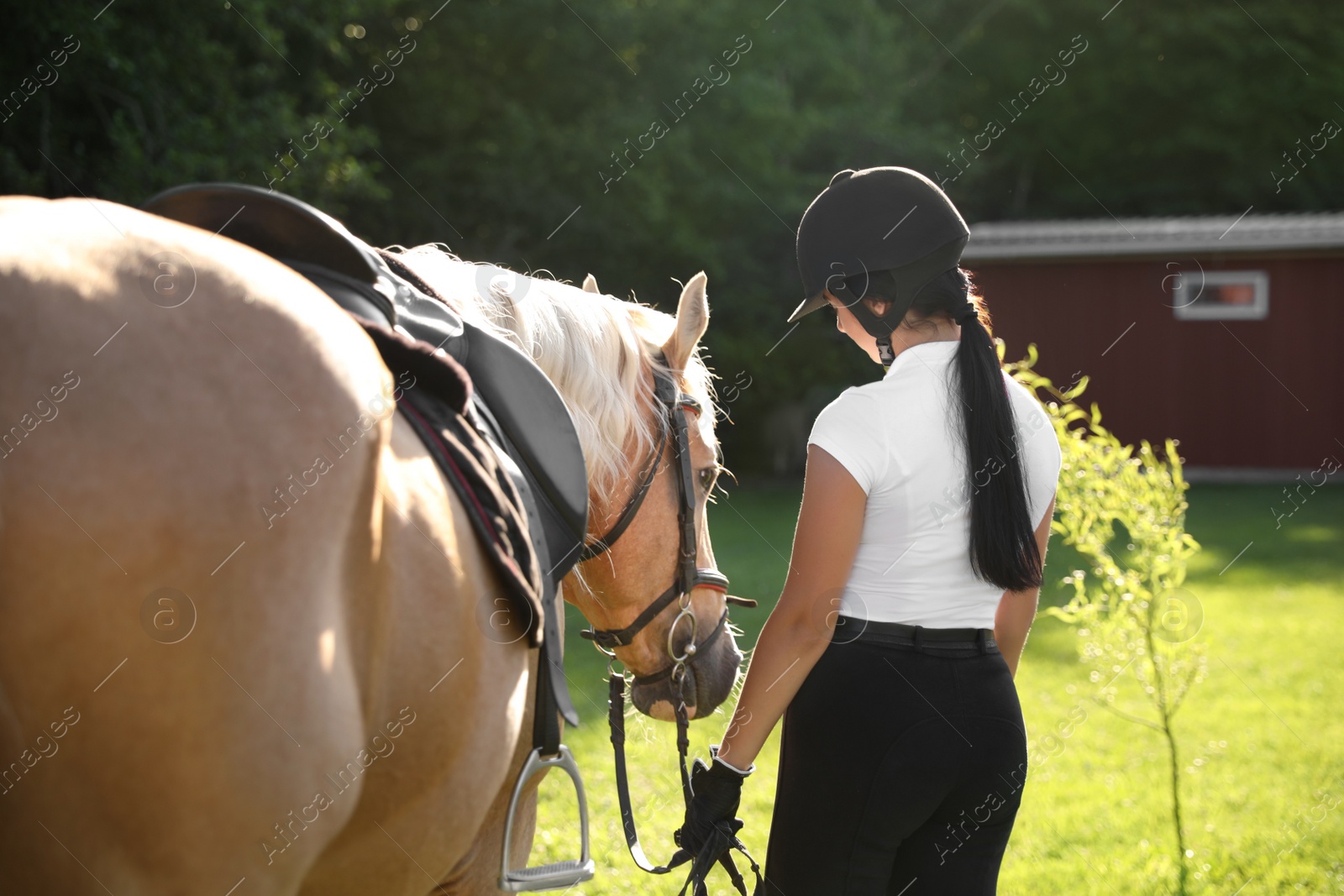 Photo of Young woman in horse riding suit and her beautiful pet outdoors on sunny day, back view