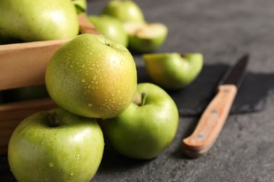 Photo of Ripe green apples with water drops and knife on grey table, closeup