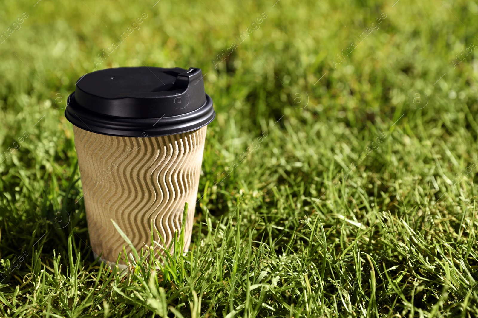 Photo of Cardboard takeaway coffee cup with plastic lid on green grass outdoors, space for text