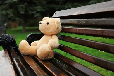 Photo of Lonely teddy bear on wooden bench outdoors