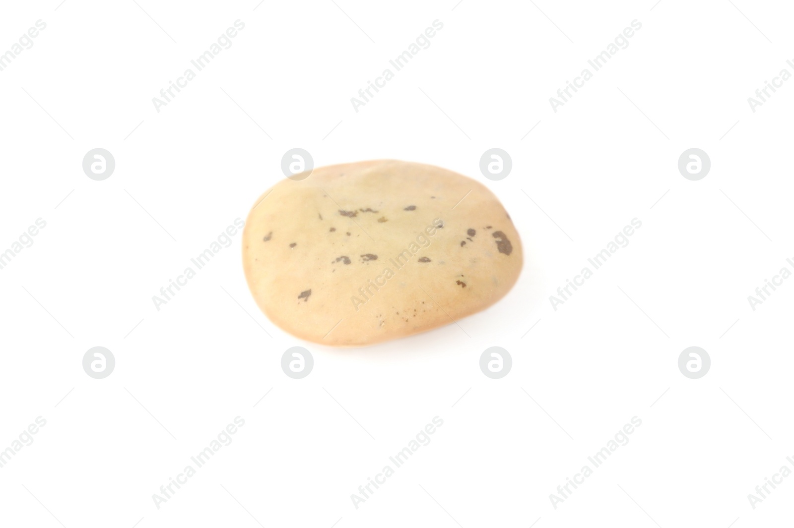 Photo of Raw lentil on white background. Vegetable planting