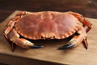 Photo of One delicious boiled crab on wooden board