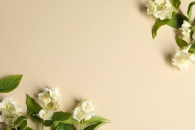 Photo of Aromatic jasmine flowers and green leaves on beige background, flat lay. Space for text