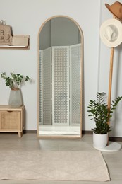 Modern hallway room interior with large mirror and beautiful plants