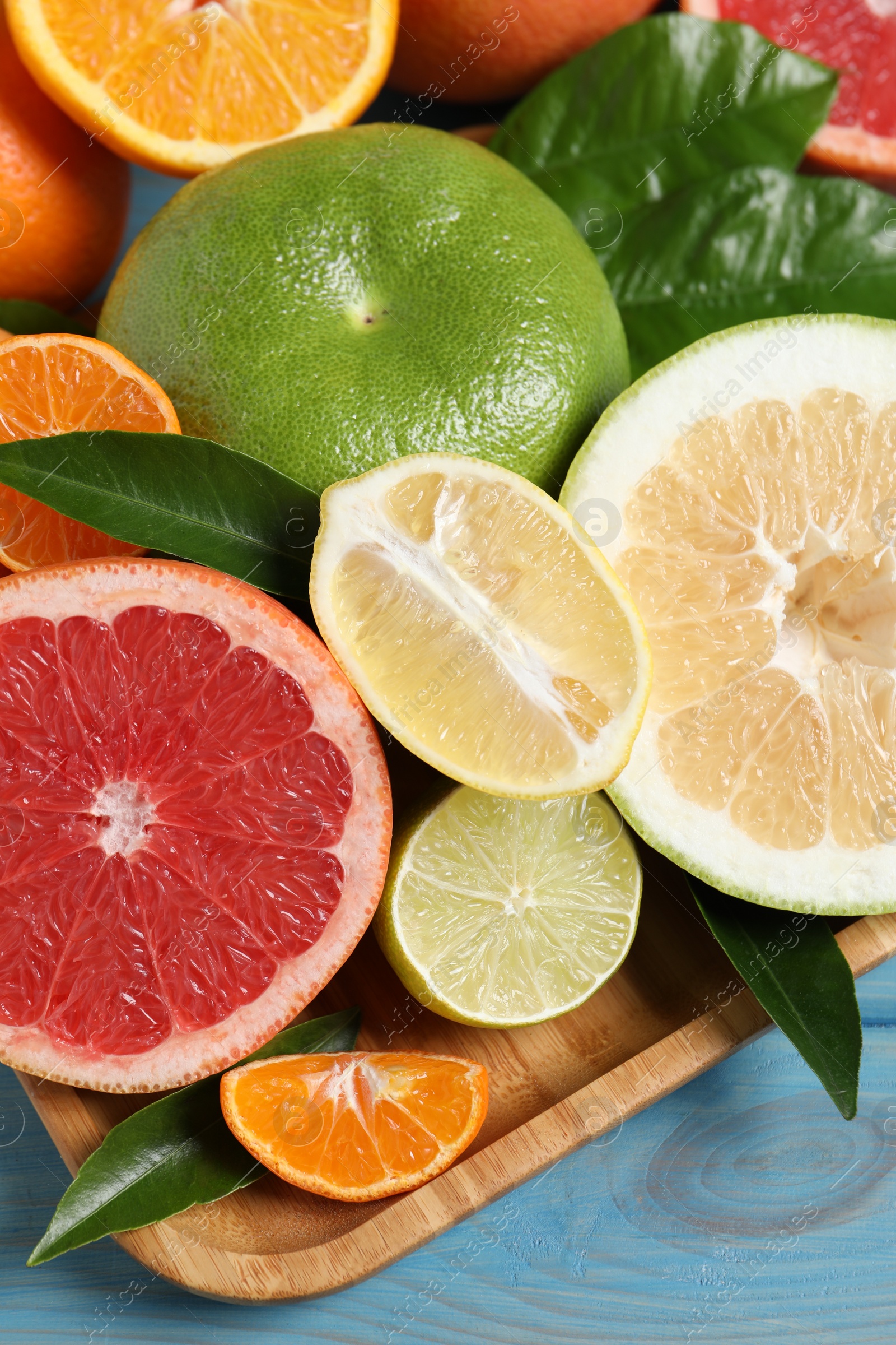 Photo of Different citrus fruits with fresh leaves, closeup