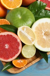 Different citrus fruits with fresh leaves, closeup