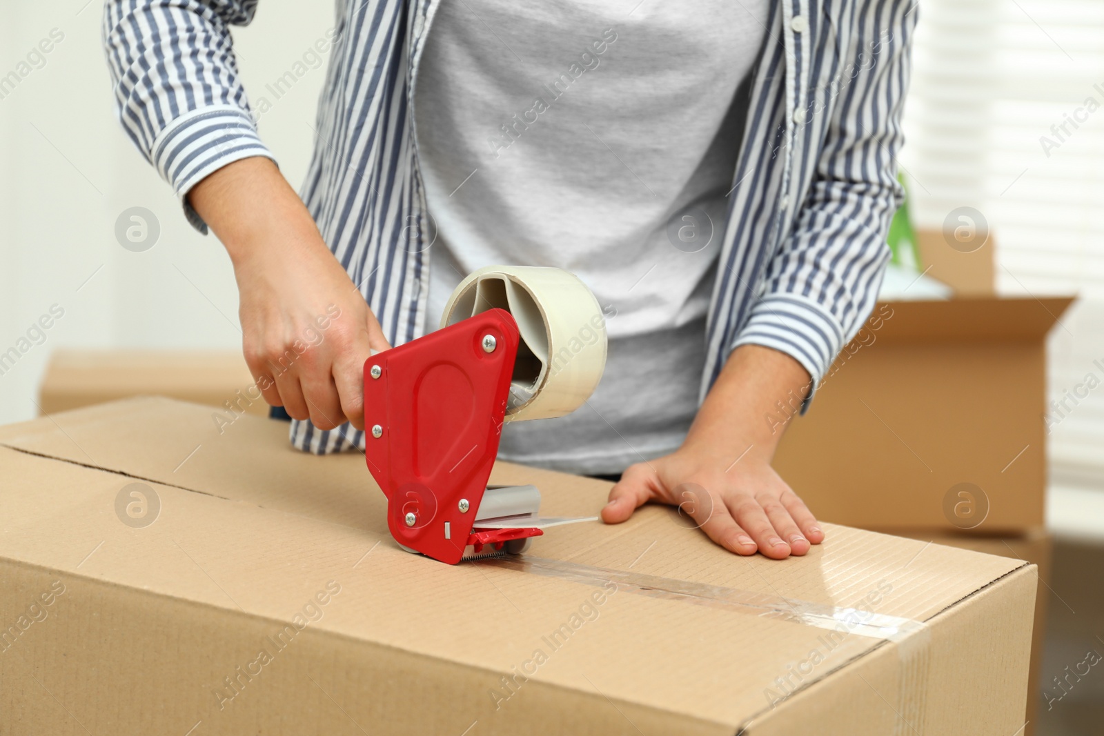 Photo of Woman packing cardboard box indoors, closeup. Moving day