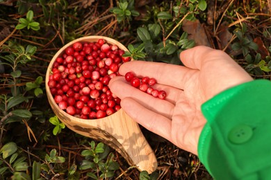 Woman holding tasty lingonberries near wooden cup outdoors, above view