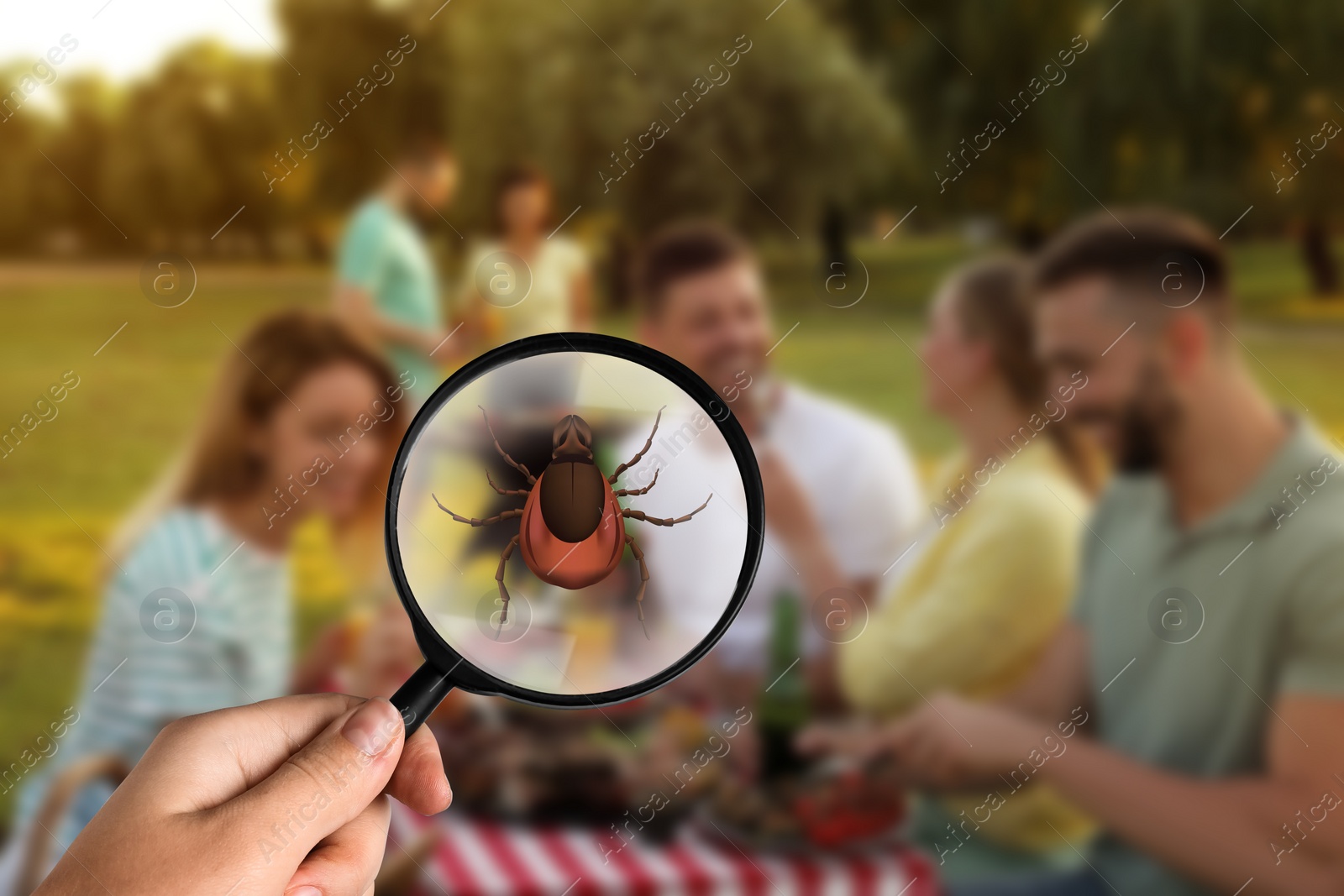 Image of Seasonal hazard of outdoor recreation. Happy friends at barbecue party in park. Woman showing tick with magnifying glass, selective focus
