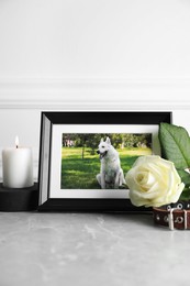 Photo of Frame with picture of dog, collar, burning candle and rose flower on light grey table. Pet funeral