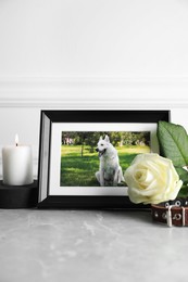 Frame with picture of dog, collar, burning candle and rose flower on light grey table. Pet funeral