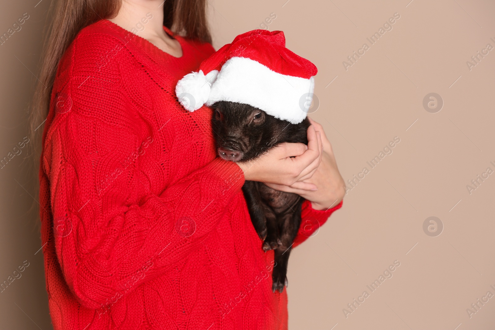 Photo of Woman holding mini pig with Santa hat on color background, closeup. Space for text