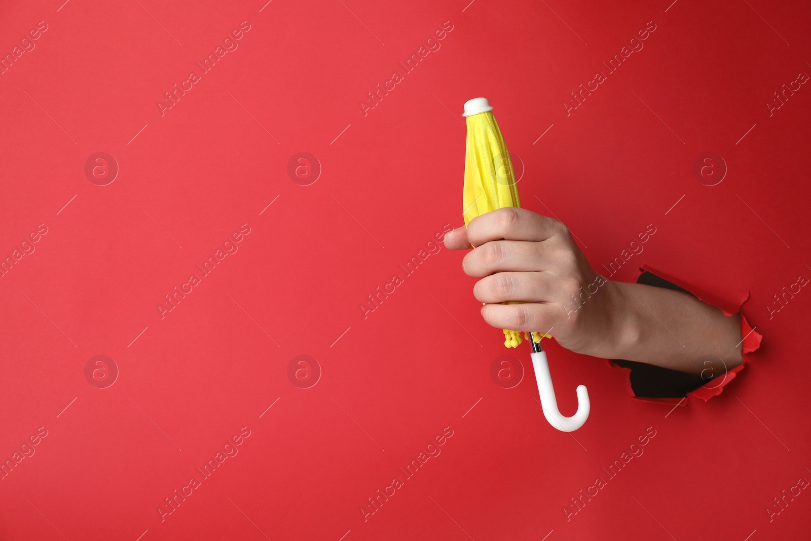 Photo of Woman holding closed small yellow umbrella through hole in red paper, closeup. Space for text