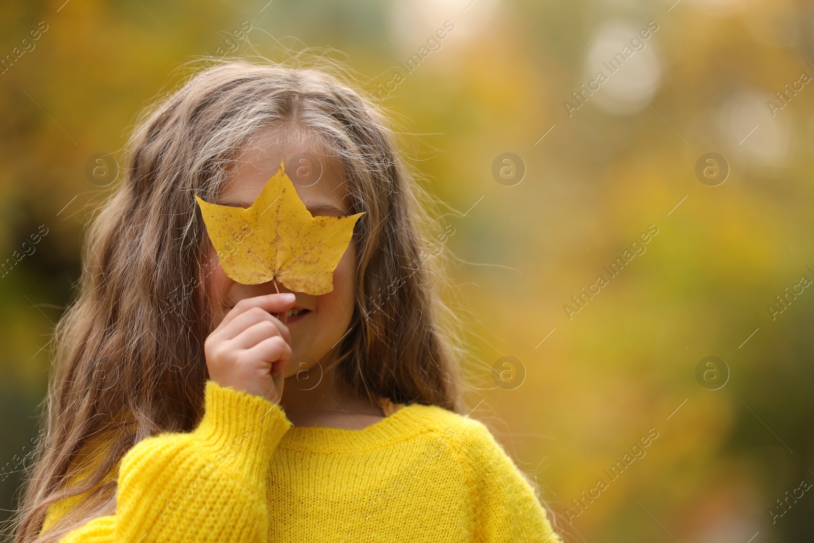 Photo of Girl covering face with autumn dry leaf outdoors, space for text