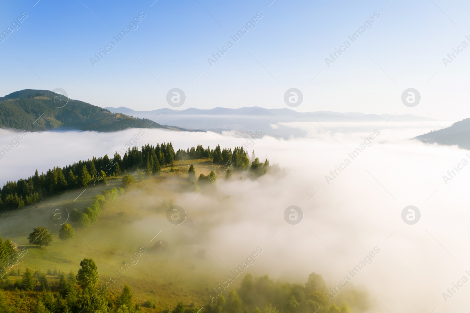 Image of Beautiful landscape with thick mist and forest in mountains. Drone photography