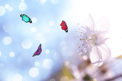 Image of Beautiful butterflies and blooming flower outdoors on sunny day