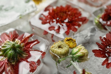 Photo of Melting ice cubes with different flowers, closeup