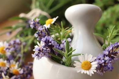 Mortar with fresh lavender, chamomile flowers, rosemary and pestle on blurred background, closeup