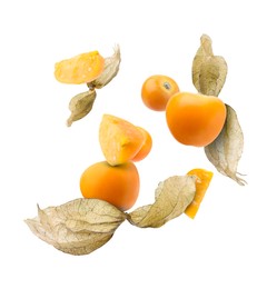 Ripe orange physalis fruits with calyx falling on white background