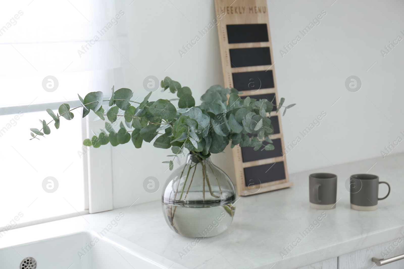 Photo of Beautiful eucalyptus branches and cups of drink on countertop in kitchen. Interior element