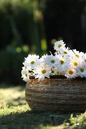 Beautiful wild flowers in wicker basket on green grass outdoors. Space for text