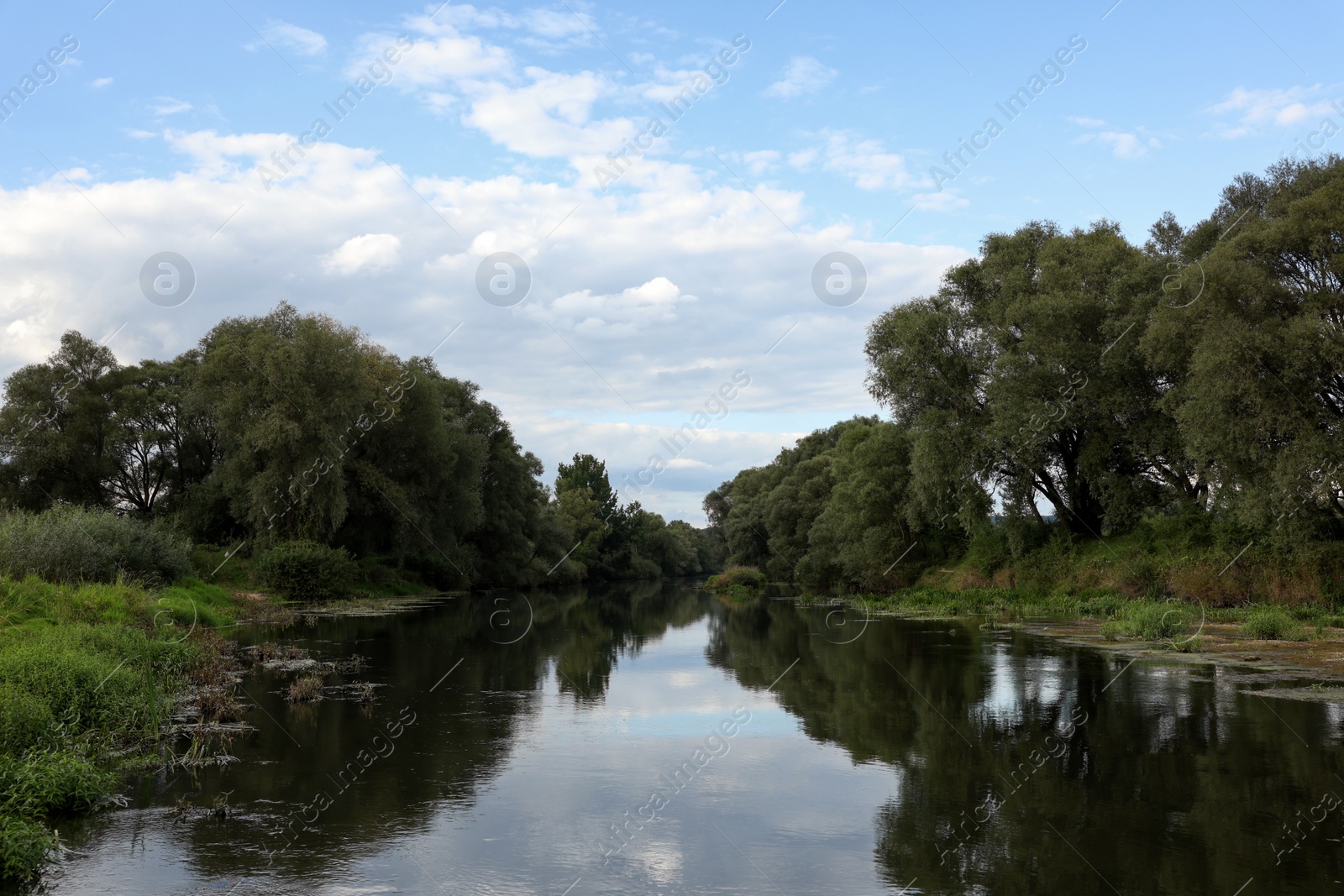 Photo of Picturesque view of clean river and trees in countryside