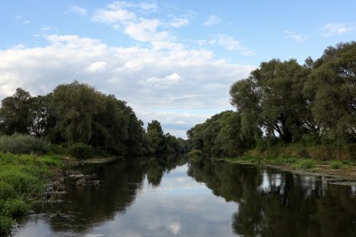 Photo of Picturesque view of clean river and trees in countryside