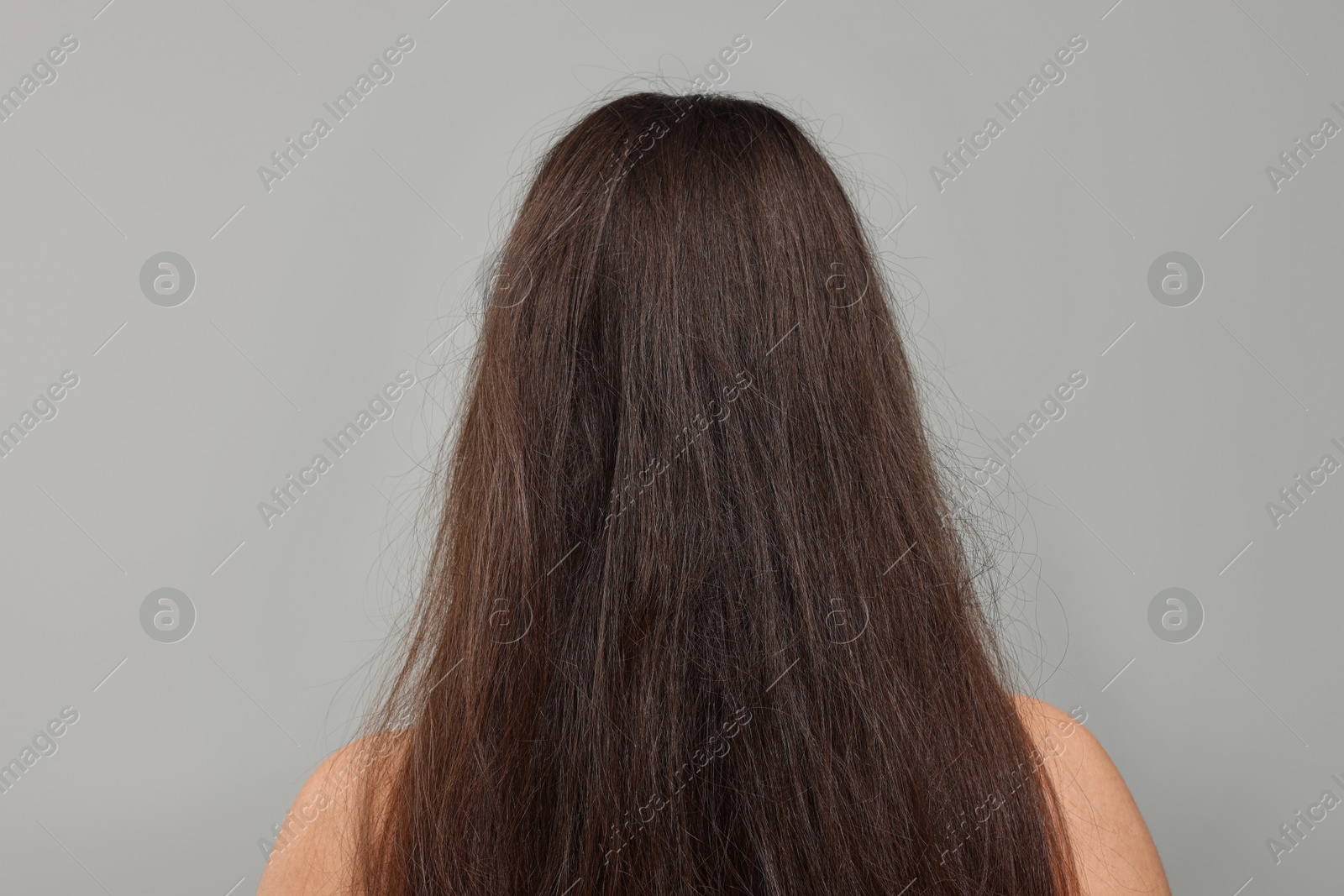 Photo of Woman with damaged hair before treatment on light grey background, back view