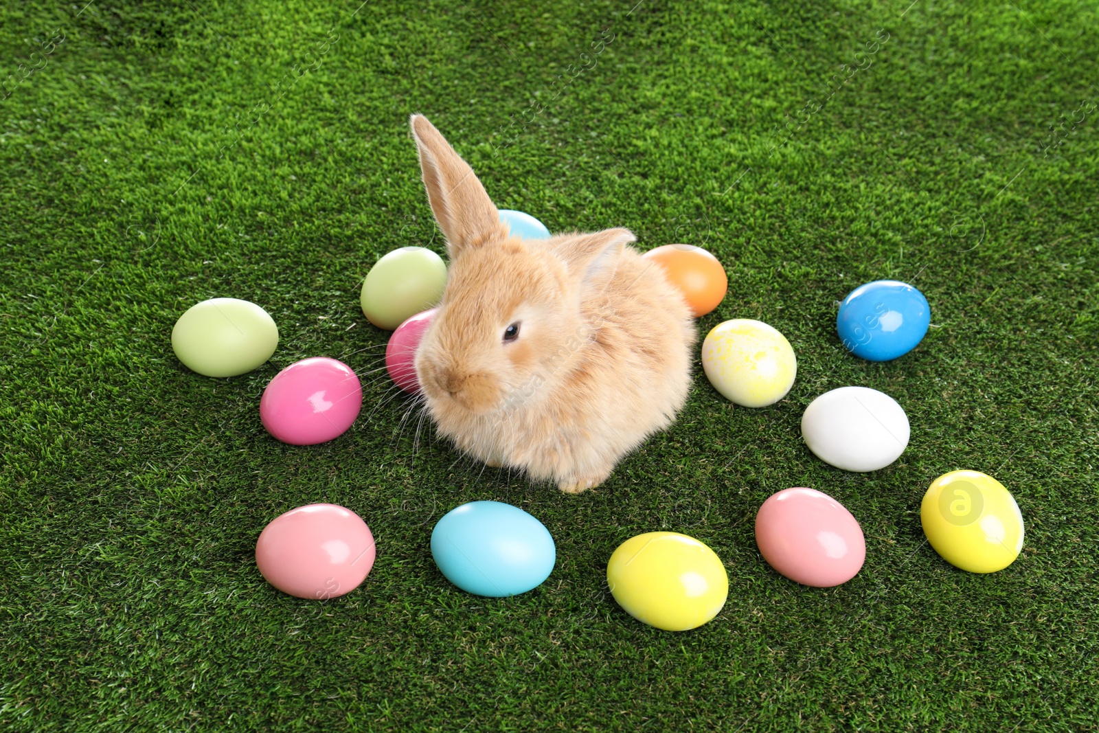 Photo of Adorable furry Easter bunny and colorful eggs on green grass