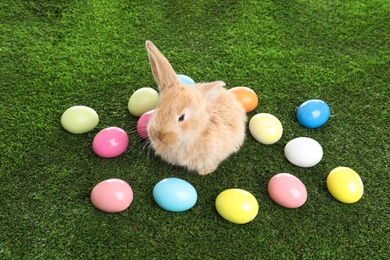 Adorable furry Easter bunny and colorful eggs on green grass