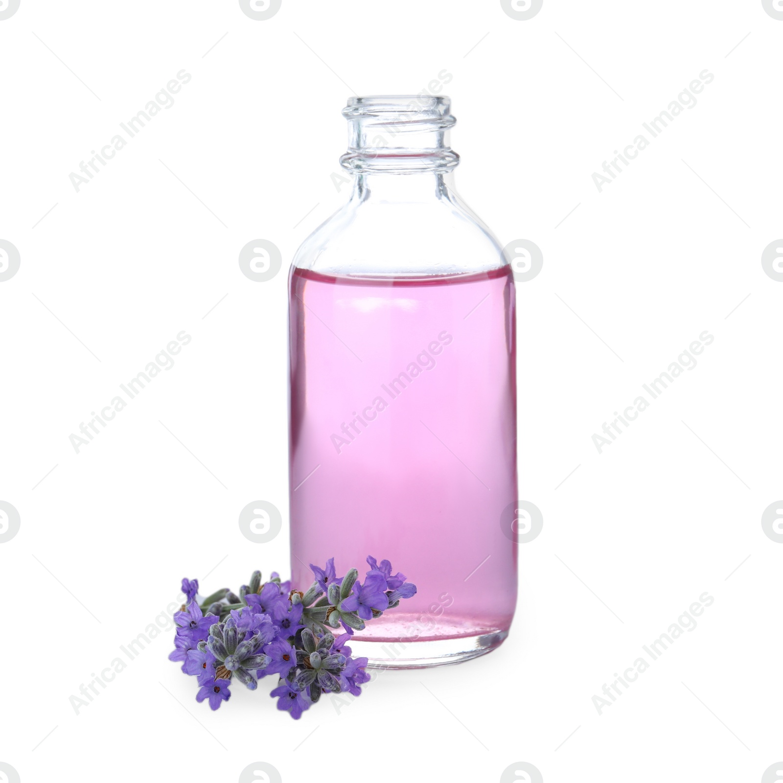 Photo of Bottle of essential oil and lavender flowers isolated on white