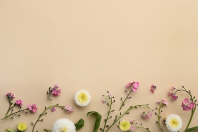 Beautiful composition with forget-me-not flowers on beige background, flat lay. Space for text