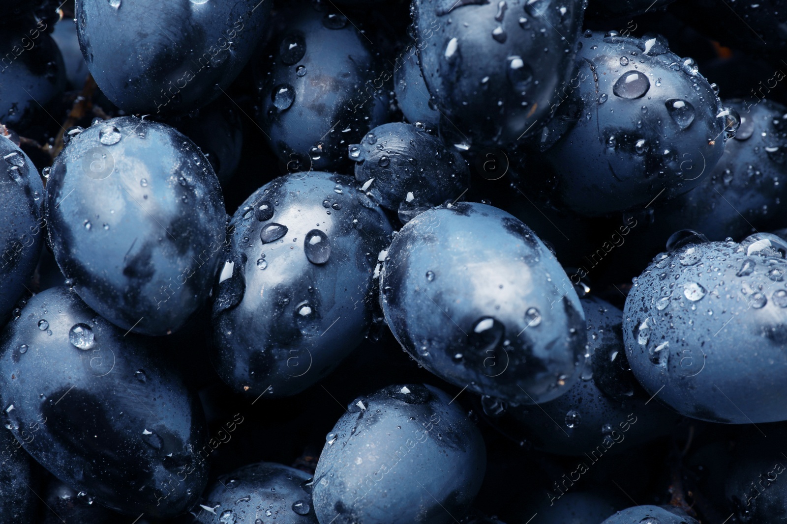 Photo of Fresh ripe juicy grapes with water drops as background, closeup