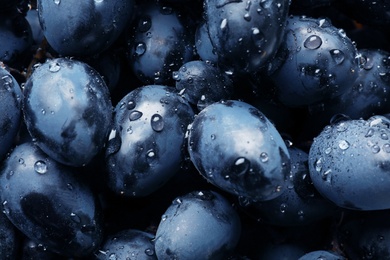 Fresh ripe juicy grapes with water drops as background, closeup