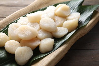 Photo of Fresh raw scallops on wooden table, closeup
