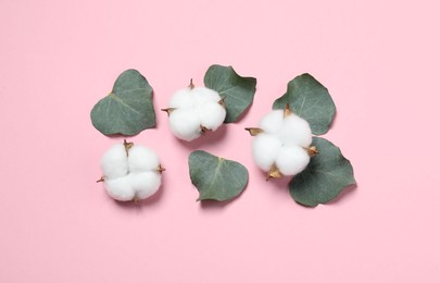 Photo of Cotton flowers and eucalyptus leaves on pink background, flat lay