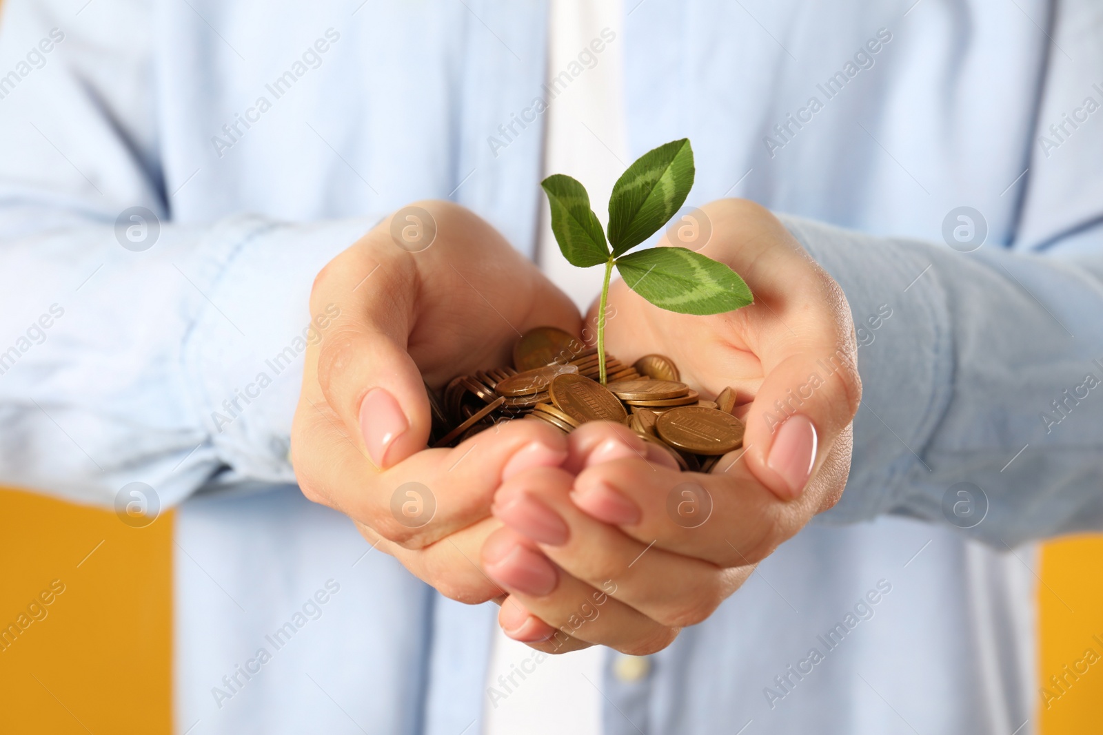 Photo of Woman holding coins with green sprout on yellow background, closeup. Investment concept