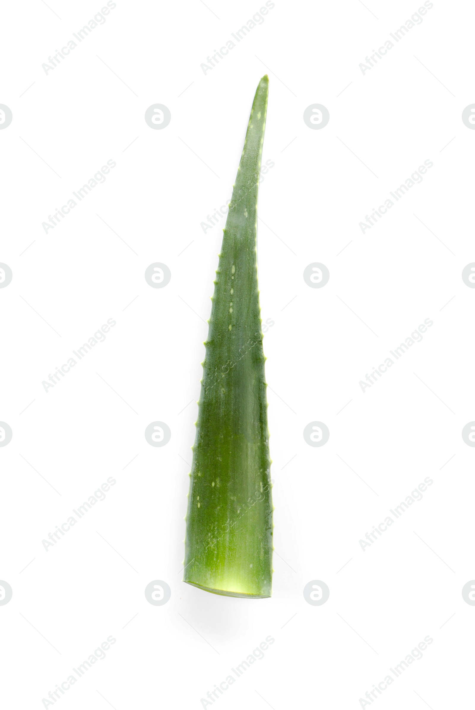 Photo of Green aloe vera leaf isolated on white, top view