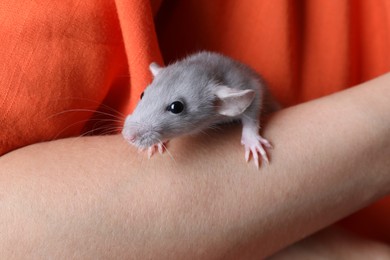 Photo of Woman with cute small rat, closeup view