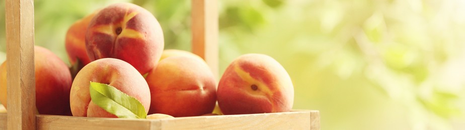 Image of Fresh ripe peaches in wooden basket on blurred background, closeup. Banner design with space for text