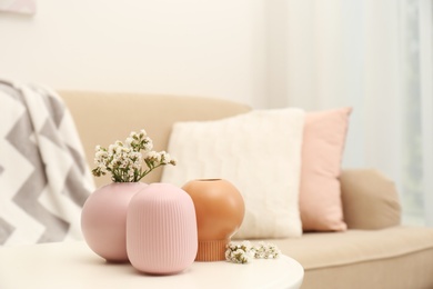 Photo of Beautiful ceramic vases and flowers on table in living room