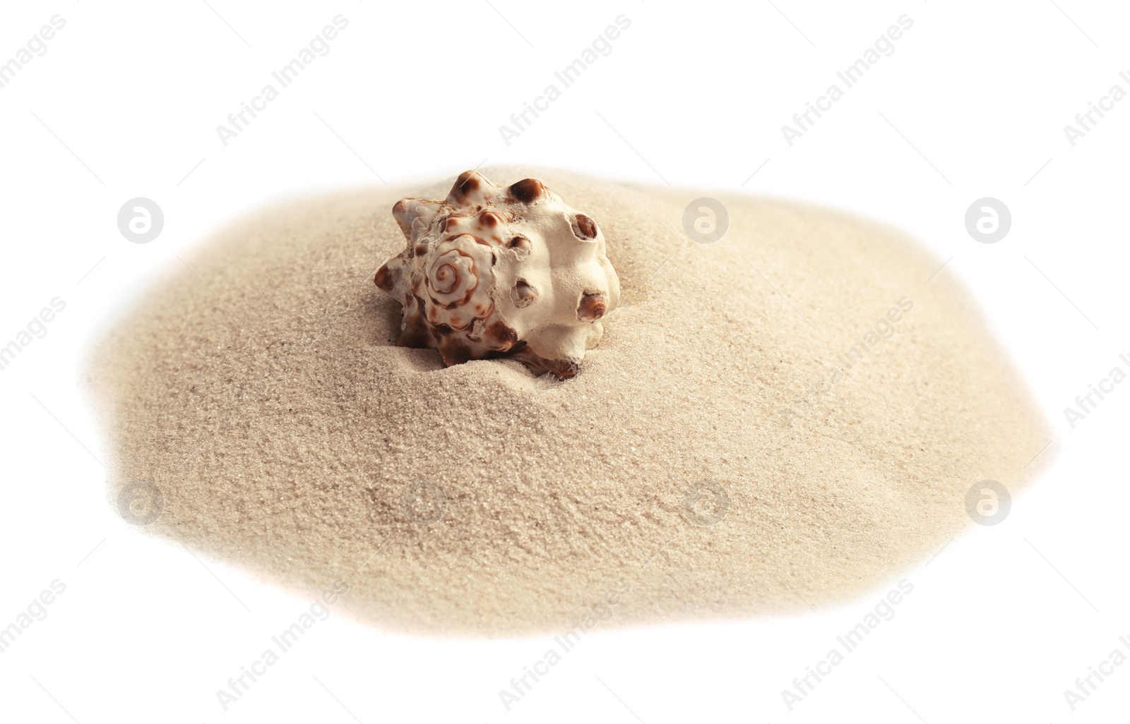 Photo of Pile of beach sand with sea shell isolated on white