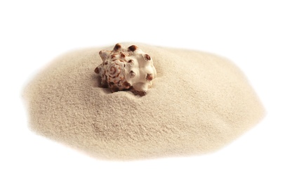 Photo of Pile of beach sand with sea shell isolated on white