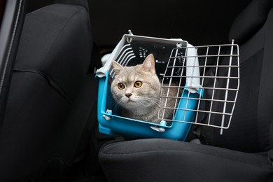 Photo of Travel with pet. Cute cat in carrier inside car