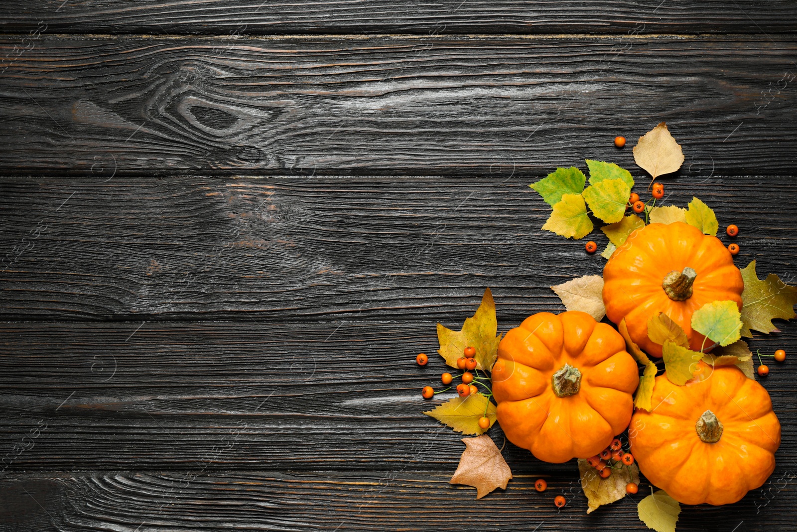 Photo of Flat lay composition with pumpkins and autumn leaves on black wooden table. Space for text