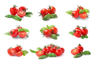 Image of Set of ripe red tomatoes and green basil leaves on white background